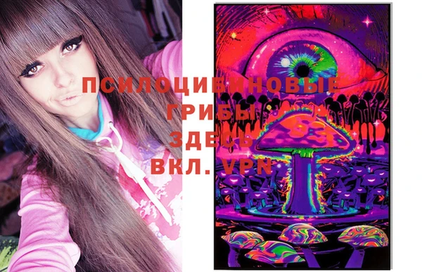 твердый Белоозёрский